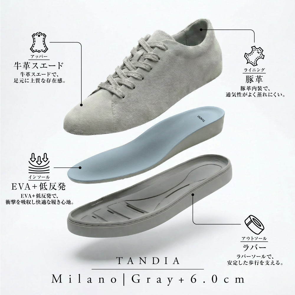 Milano|Gray+6.0cm